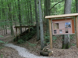 Blick auf die Informationstafel der Station 4 mit Weg zur freigelegten Steinbruchwand im Eisensandstein