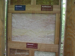 Detailansicht eines Sandlackprofils mit Beschreibung, Herkunft und Alter des Sandes. 