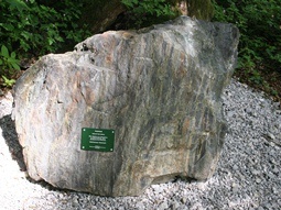 Blick auf einen Amphibolit mit zusätzlich am Gestein angebrachten  Informationen