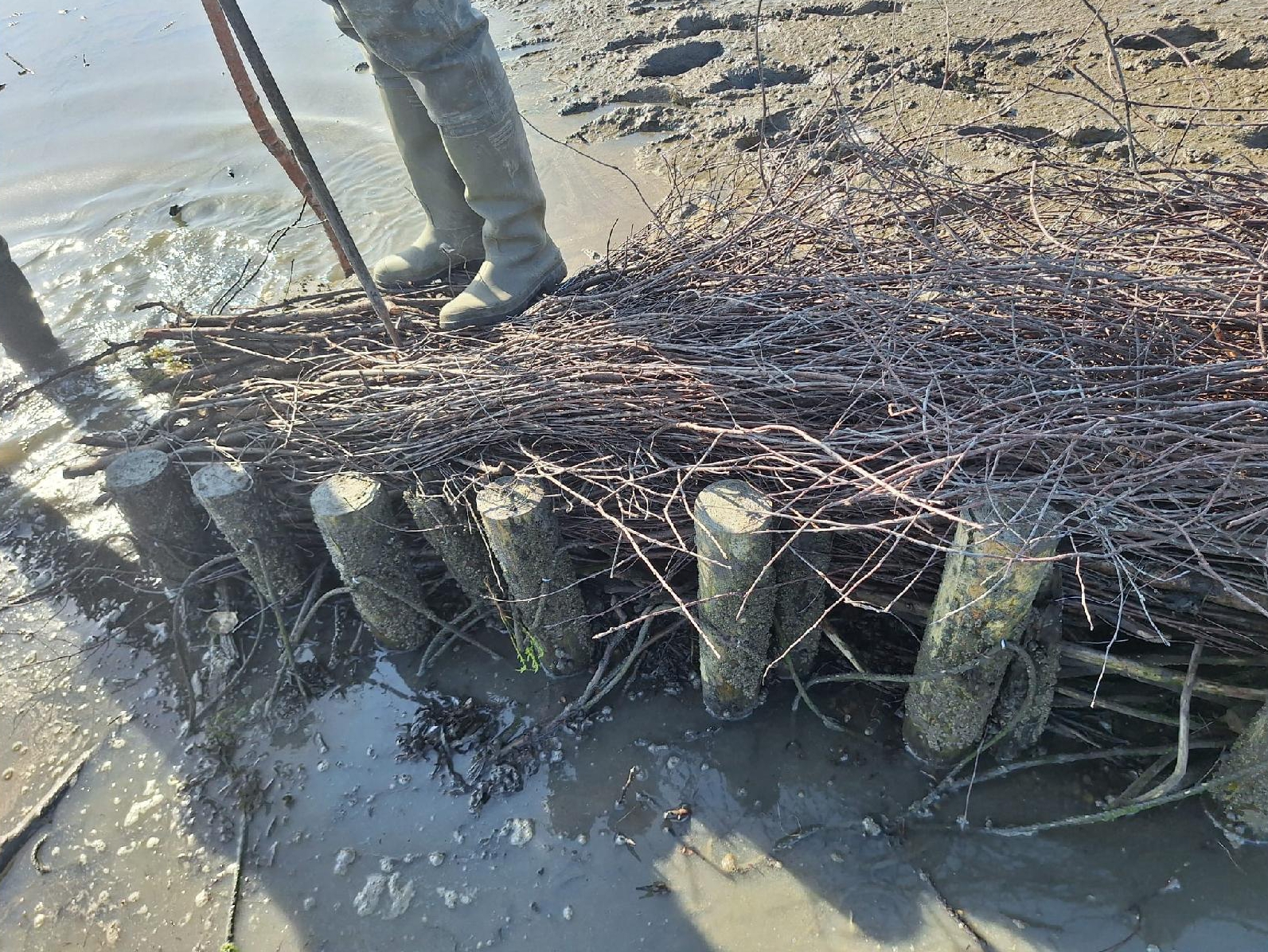 Unsere Wasserbauer-Auszubildenden beim Küstenschutzprojekt