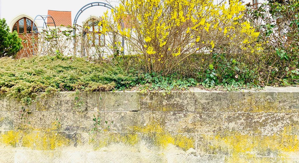 Amberg Ansicht Landratsamt Vilsmauer Amberg Ansicht Landratsamt Vilsmauer