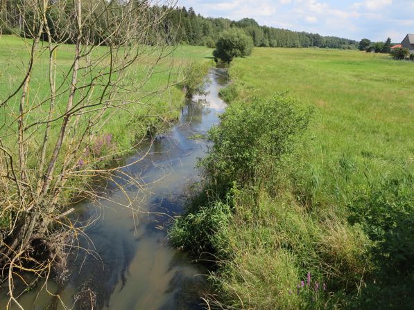 Link führt zur Seite Ökologischer Ausbau Vils bei Gressenwöhr